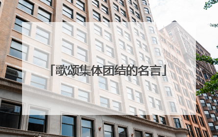 歌颂集体团结的名言
