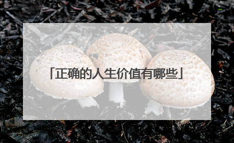 正确的人生价值有哪些