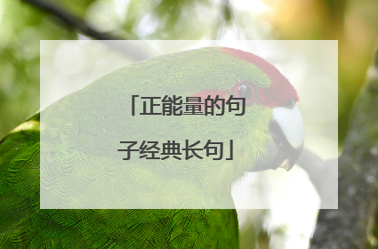 正能量的句子经典长句