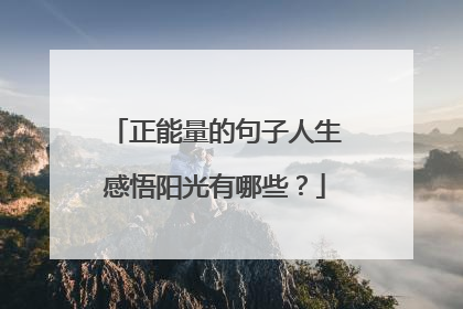 正能量的句子人生感悟阳光有哪些？