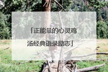 正能量的心灵鸡汤经典语录励志