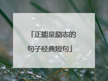 正能量励志的句子经典短句