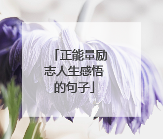 正能量励志人生感悟的句子