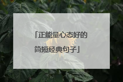 正能量心态好的简短经典句子