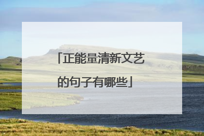 正能量清新文艺的句子有哪些