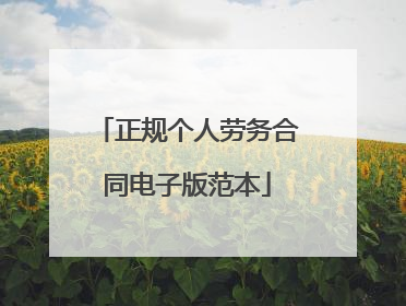 正规个人劳务合同电子版范本