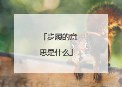 步履的意思是什么