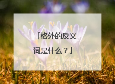 格外的反义词是什么?