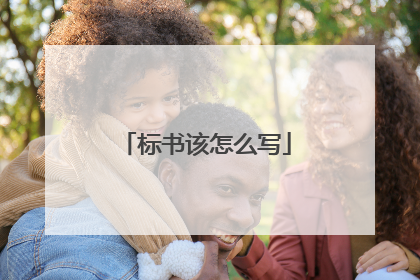 标书该怎么写