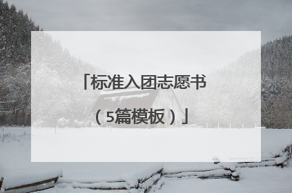 标准入团志愿书（5篇模板）