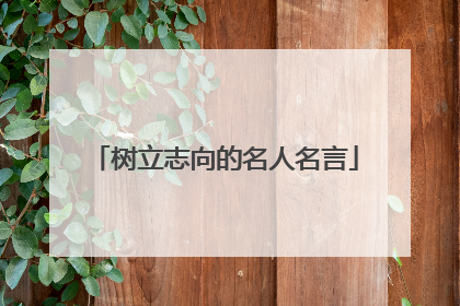 树立志向的名人名言