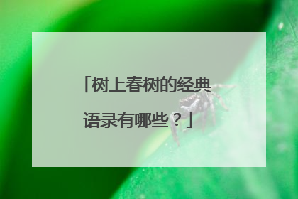 树上春树的经典语录有哪些?