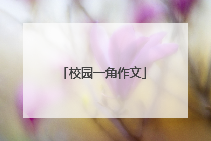 校园一角作文