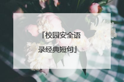 校园安全语录经典短句