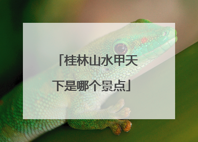 桂林山水甲天下是哪个景点