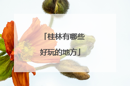 桂林有哪些好玩的地方