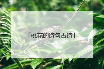 桃花的诗句古诗