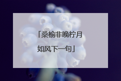 桑榆非晚柠月如风下一句