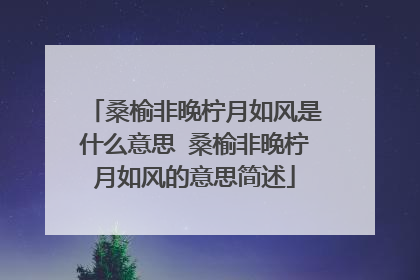 桑榆非晚柠月如风是什么意思 桑榆非晚柠月如风的意思简述