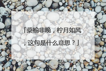 桑榆非晚，柠月如风，这句是什么意思？