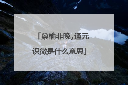 桑榆非晚,通元识微是什么意思