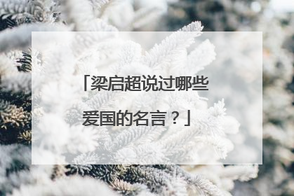 梁启超说过哪些爱国的名言？