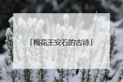 梅花王安石的古诗