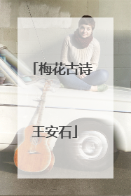 梅花古诗王安石