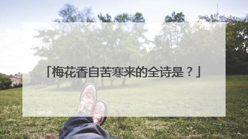 梅花香自苦寒来的全诗是？