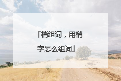 梢组词，用梢字怎么组词