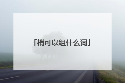 梢可以组什么词