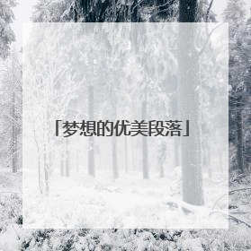 梦想的优美段落