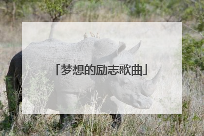 梦想的励志歌曲