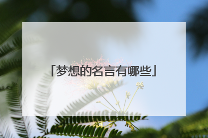 梦想的名言有哪些