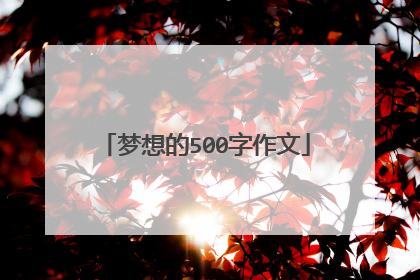 梦想的500字作文