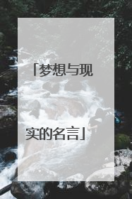 梦想与现实的名言