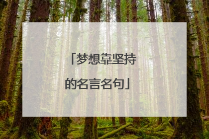 梦想靠坚持的名言名句