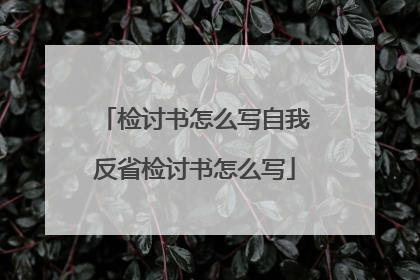 检讨书怎么写自我反省检讨书怎么写