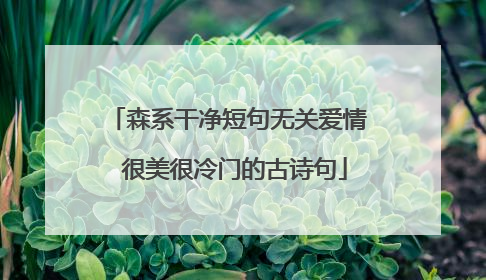 森系干净短句无关爱情 很美很冷门的古诗句