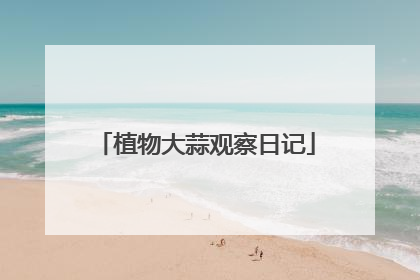 植物大蒜观察日记