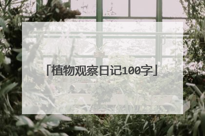 植物观察日记100字