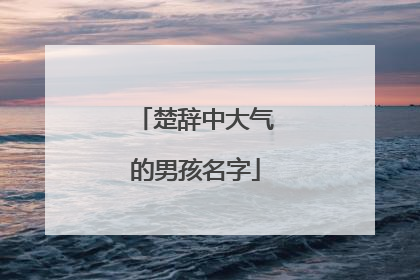 楚辞中大气的男孩名字