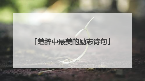 楚辞中最美的励志诗句