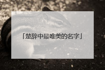 楚辞中最唯美的名字