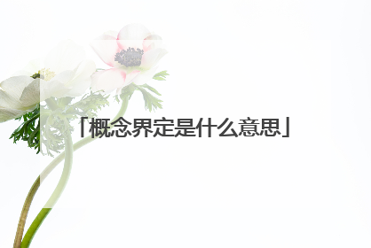 概念界定是什么意思