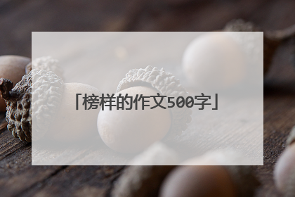 榜样的作文500字