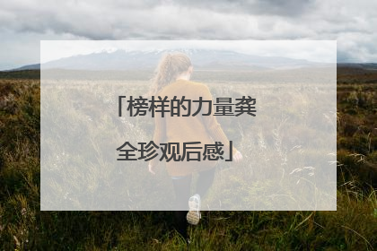榜样的力量龚全珍观后感