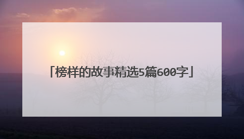 榜样的故事精选5篇600字