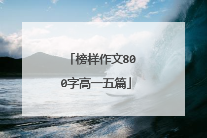 榜样作文800字高一五篇