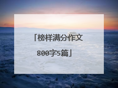 榜样满分作文800字5篇